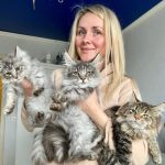 Jonathan Matthews 13 maine coon owner 720x739 3187250750